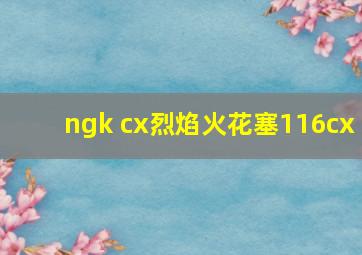 ngk cx烈焰火花塞116cx